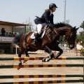 Poni Club