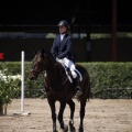 Poni Club