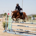 Poni Club