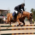 Poni Club