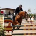 Poni Club