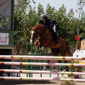 Poni Club