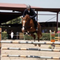 Poni Club
