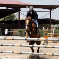Poni Club