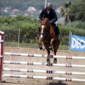 Poni Club