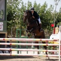 Poni Club