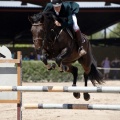 Poni Club