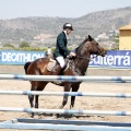 Poni Club