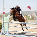 Poni Club
