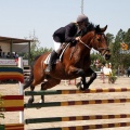Poni Club