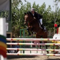 Poni Club