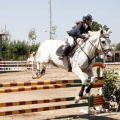 Poni Club