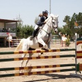 Poni Club