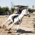 Poni Club