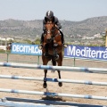 Poni Club