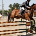 Poni Club