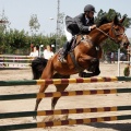 Poni Club