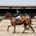Poni Club