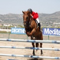 Poni Club