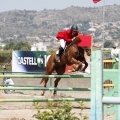 Poni Club
