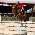 Poni Club