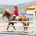 Poni Club