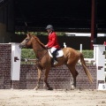 Poni Club