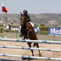 Poni Club