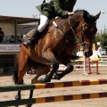 Poni Club