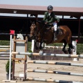 Poni Club
