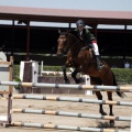 Poni Club
