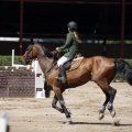 Poni Club