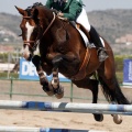 Poni Club