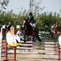 Poni Club