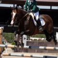 Poni Club