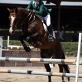 Poni Club