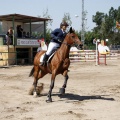 Poni Club