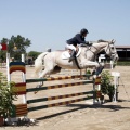 Poni Club