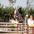 Poni Club