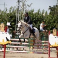 Poni Club
