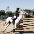 Poni Club
