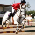 Poni Club