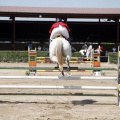Poni Club