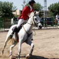 Poni Club