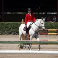 Poni Club