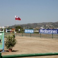 Poni Club