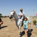 Poni Club