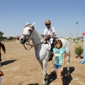 Poni Club