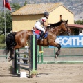 Poni Club