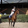 Poni Club